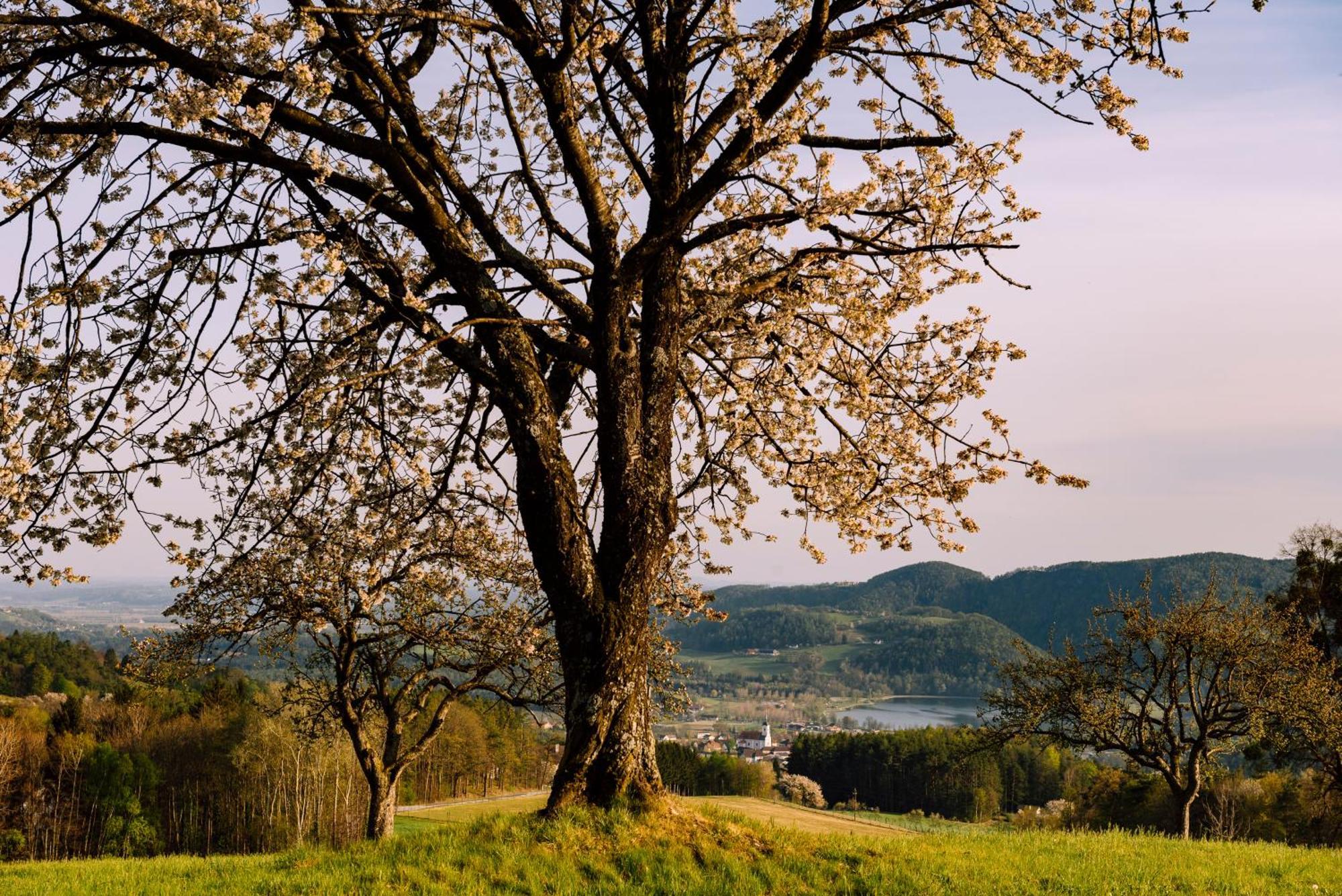 Landhaus Grete Stubenberg Bagian luar foto