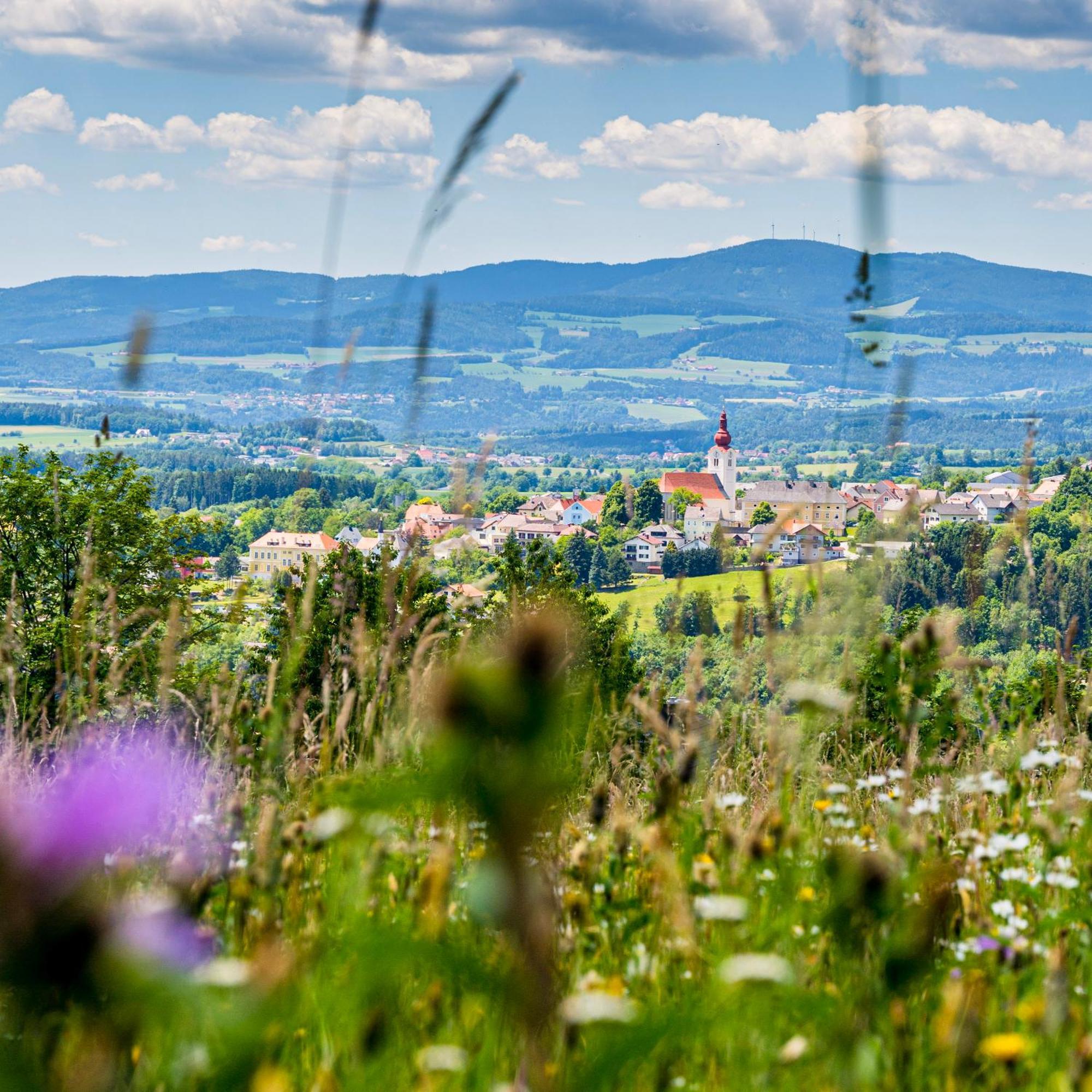 Landhaus Grete Stubenberg Bagian luar foto