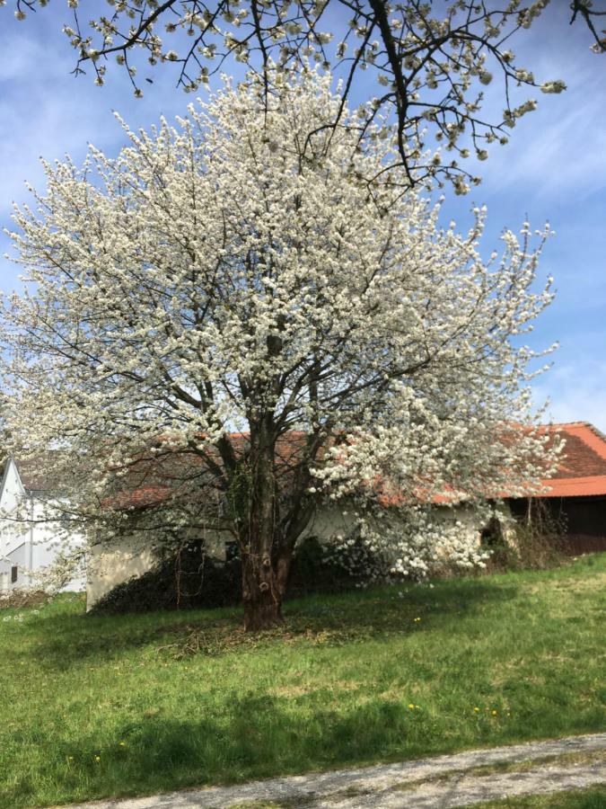 Landhaus Grete Stubenberg Bagian luar foto